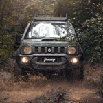 389612_964355_jimny_forest_3_min copia