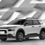 C4CACTUS copia